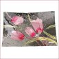 Preview: Deko-Teller 30 cm Pink-Tulip Glas 871190 formano