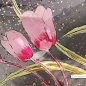 Preview: Detailansicht von dem Deko-Teller 30 cm Pink-Tulip Glas 871190 formano