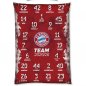 Preview: Deckenbezug Bettwäsche Signature 2025/26 54611 FC Bayern München