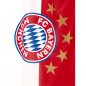 Preview: Großes 5 Sterne Logo auf der Fahne 28327 FC Bayern München