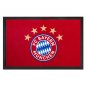 Preview: Fußmatte Logo 60 x 40 cm 30054 FC Bayern München