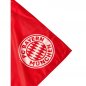 Preview: Hissfahne Deutscher Meister 2022 Logo 30355 FC Bayern München