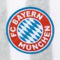 Preview: Kapuzenhandtuch Berni Baumwolle Logo 28664 FC Bayern München