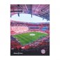 Preview: Kuscheldecke Allianz Arena 28362 FC Bayern München