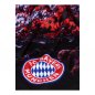 Preview: Logo Kuscheldecke Allianz Arena 28362 FC Bayern München