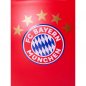 Preview: Müslischale rot Logo 32493 FC Bayern München