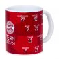 Preview: Tasse Signature 33938 FC Bayern München