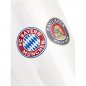 Preview: Weissbierglas 2er Set Logo 28698 FC Bayern München