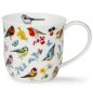 Preview: Dunoon Becher Cumbrae Bird Garden Vogelgarten Rotkehlchen 0,45l Porzellan 292063