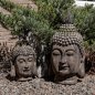 Preview: Büste Buddha 54 cm im Steingarten formano