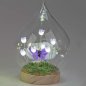 Preview: Deko-Kugel 16 cm lila auf Holzsockel Blumendeko mit LED-Licht Glas 816634 formano