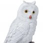 Preview: Kopf der Eule Winterzeit 721099 formano