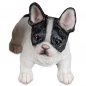 Preview: Hundewelpen französische Bulldogge H schwarzes Auge handbemalt 768889 formano