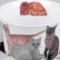 Preview: Detailansicht von Jumbotasse mit Unterteller Cats Galore Roy Kirkham Porzellan 297044