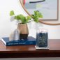 Preview: Bayside Cedar 567g Signature Duftkerze dekoriert 1629980E Yankee Candle®
