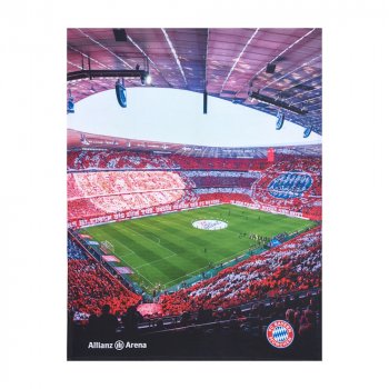 Kuscheldecke Allianz Arena FC Bayern München