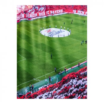 Rot gegen Rassismus 28362 FC Bayern München