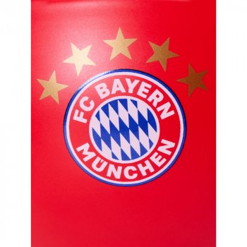 Müslischale rot Logo 32493 FC Bayern München