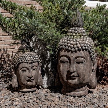 Büste Buddha 54 cm im Steingarten formano