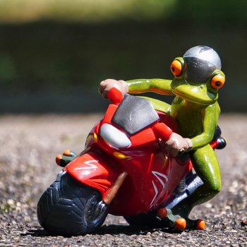 Preview: Frosch auf Motorrad 18 cm hellgrün rot aus Froschhausen Werbefoto 799982 formano
