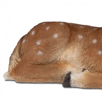 Preview: Rücken vom Reh liegend 36 cm handbemalt 758781 formano