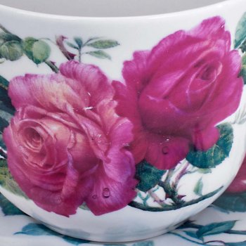 Detailansicht Jumbotasse mit Unterteller English Rose Chatsworth 296672 Roy Kirkham