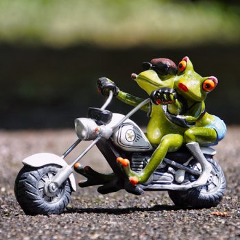 Froschpaar Biker