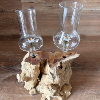 Preview: Wurzel mit Steckstamperl mit Frucht Edelweiss 16,5 cm Mundgeblasen 99102 Diogenes