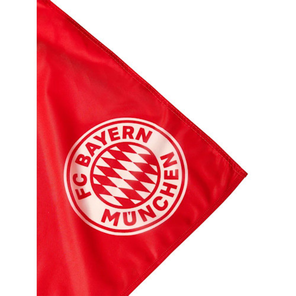 Hissfahne Deutscher Meister 2022 Logo 30355 FC Bayern München