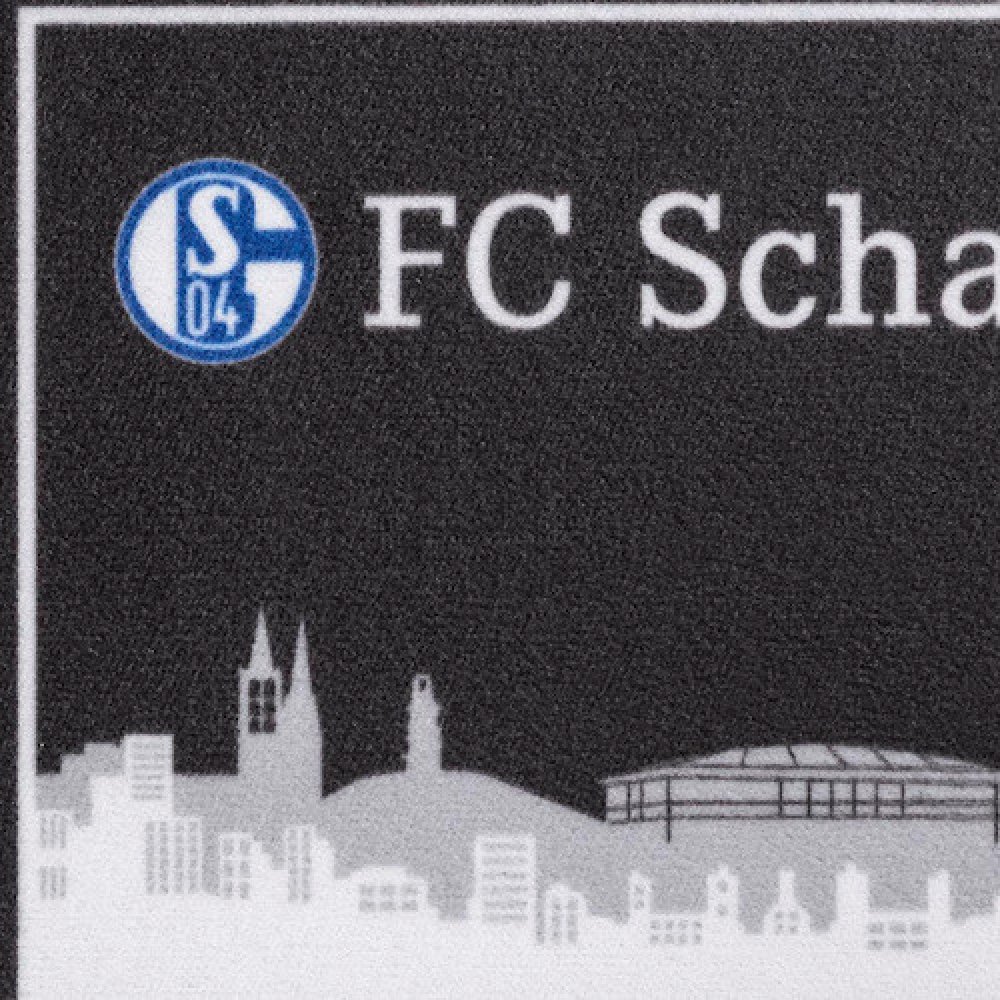 Logo Schriftzug FC Schalke 04 11850 S04