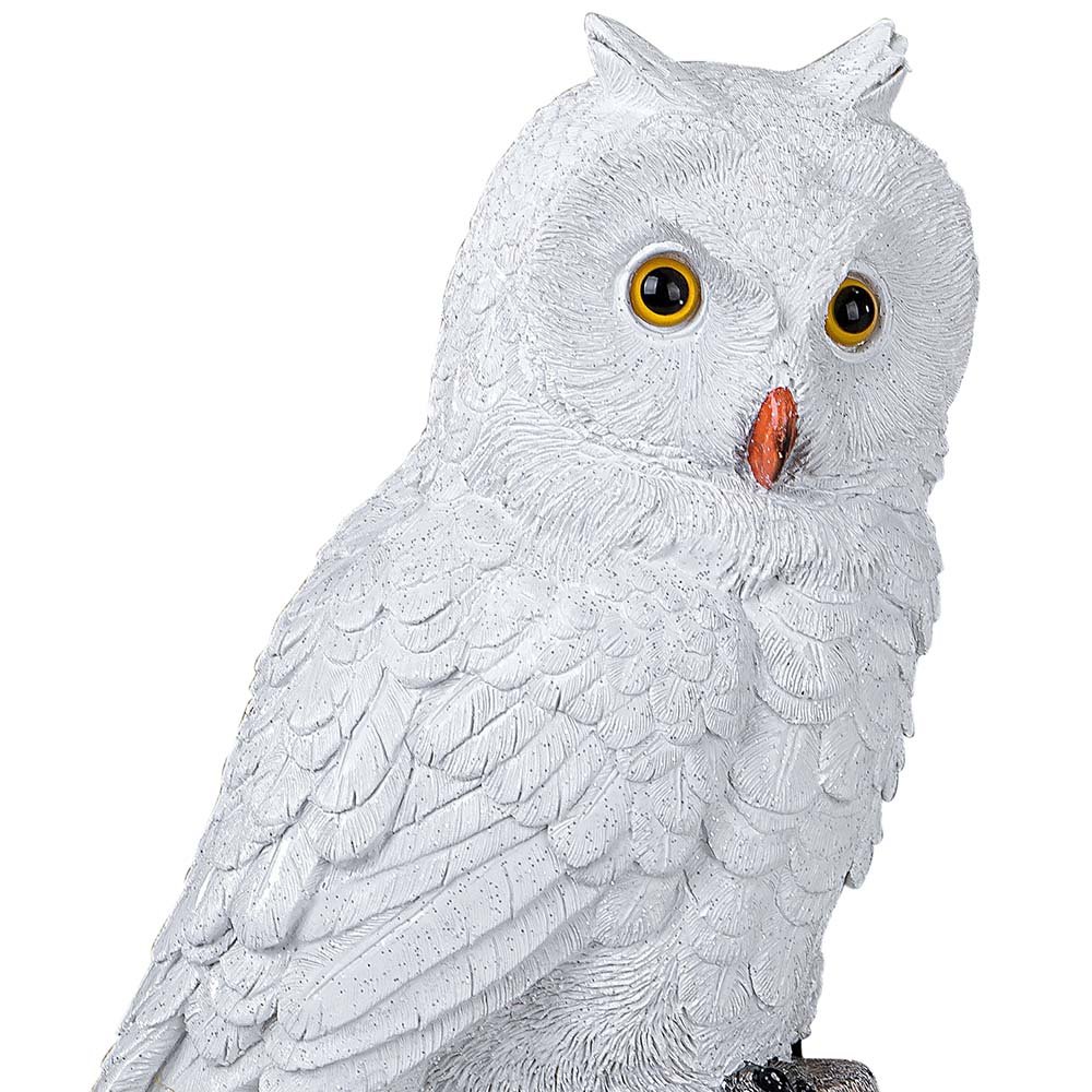 Kopf der Eule Winterzeit 721099 formano